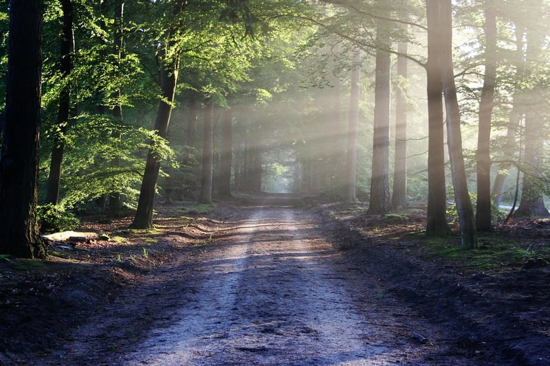 Wilderness landscape