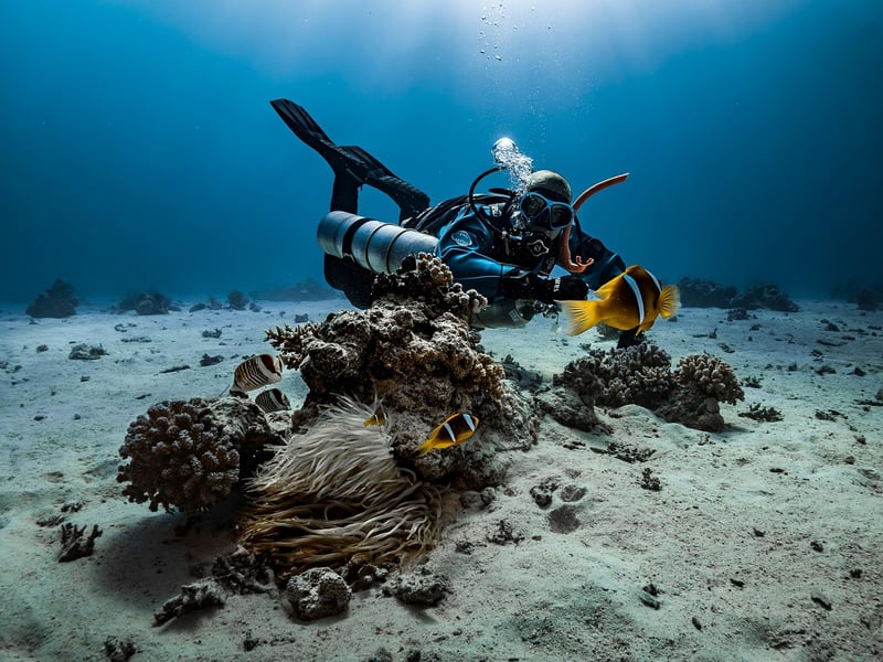 Underwater Dive