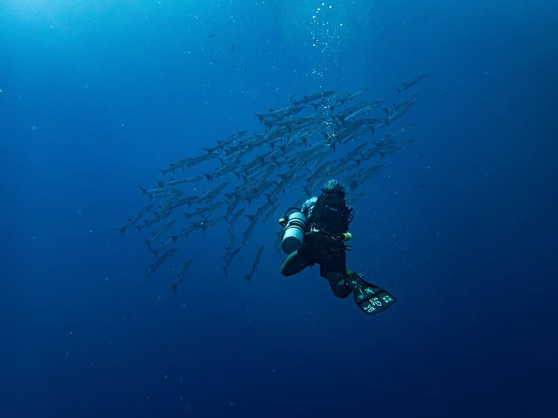 Snorkeling Gear